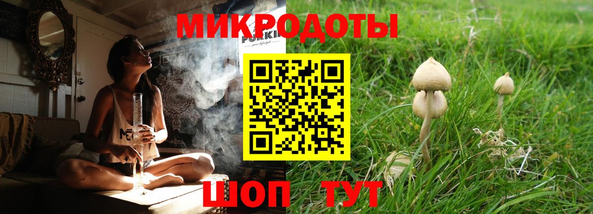 Галлюциногенные грибы Cubensis  Вход с VPN  Назарово  Галлюциногенные грибы мухоморы 